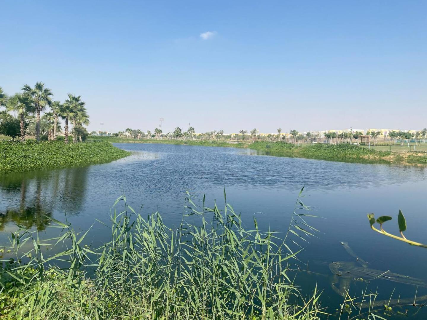 Villa Victoria Damac Hills 2 Family Retreat With Waterpark And Petting Farm Dubai Eksteriør bilde